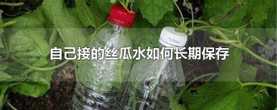 ​丝瓜水怎么保存时间长一些 丝瓜水怎么保存时间长些