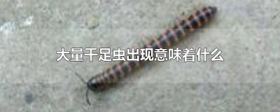 ​千足虫是害虫 千足虫成群出现