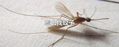 ​怎样才能找到蚊子? 怎么样才能快速找到蚊子