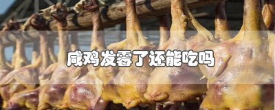 ​风干鸡发霉了还能吃吗 咸鸡长白霉了还能吃吗