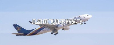 ​风力几级飞机不能起飞 飞机起飞几级风力不能起飞