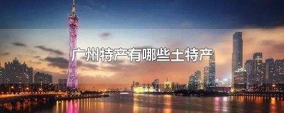 ​广州特产有哪些土特产可以带走 广州特产有哪些土特产小吃