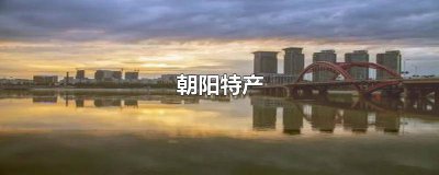 ​朝阳六号肠为什么叫六号肠 朝阳六号肠多少钱一斤