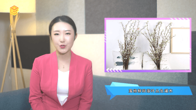​银柳可以放多长时间 银柳怎么存放
