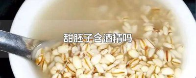 ​甜胚子含酒精吗 备孕能吃吗 甜胚子含酒精吗能吃吗