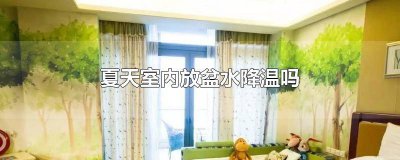 ​屋子热放盆水凉快吗 屋里面放盆水凉快吗