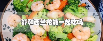 ​虾和西兰花能一起吃吗