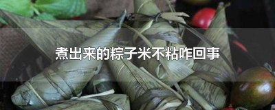 ​粽子煮熟了不粘 粽子煮熟不粘怎么回事