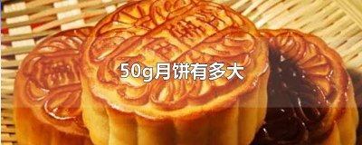 ​50g的月饼多大尺寸 100g月饼直径
