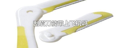 ​飞机上能带刮眉刀么 飞机上可以带刮眉刀嘛