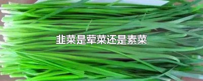 ​韭菜属于素菜还是荤菜 韭菜算荤菜还是素菜