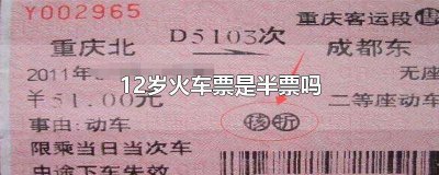​十二岁买火车票是半价吗 12岁孩子乘火车可以买半价票吗?