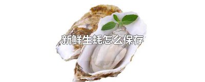 ​鲜活生蚝怎么保存最新鲜 新鲜生蚝如何保鲜