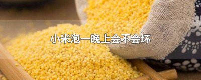 ​小米提前泡一晚上好吗 小米能提前泡一晚上吗