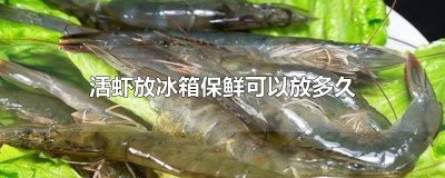 ​活虾可以放冰箱冷藏多久 活虾能在冰箱冷藏放多久