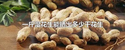 ​一斤湿花生能晒出多少干花生 一斤湿花生能晒出多少干花生的油