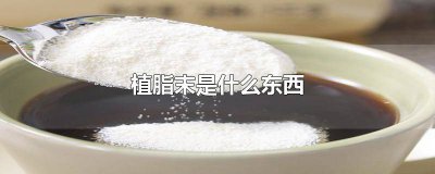​咖啡伴侣植脂末是什么东西 雀巢咖啡伴侣植脂末是什么东西