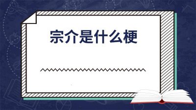 ​宗介是什么梗