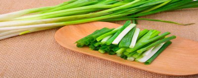 ​葱蒜属于荤菜还是素菜 葱属于蔬菜吗