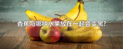 ​香蕉与哪种水果放在一起会变黑色 香蕉与那种水果在一起会变黑