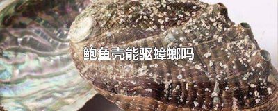 ​鲍鱼壳子除蟑螂有用吗 鲍鱼壳子除蟑螂用什么