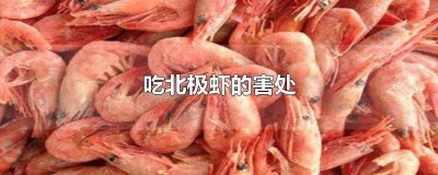 ​吃北极虾的害处和好处图片 吃北极虾有什么好处
