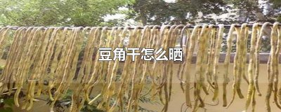 ​豆角干怎么晒好吃又脆的视频 豆角干怎么晒好吃又脆的窍门