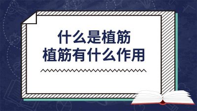 ​什么叫植筋胶 什么叫植筋锚固力检测