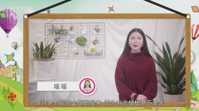 ​晚上开灯蟑螂会爬床上去吗 怎么能防止蟑螂爬床