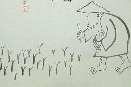 六根六贼是什么意思