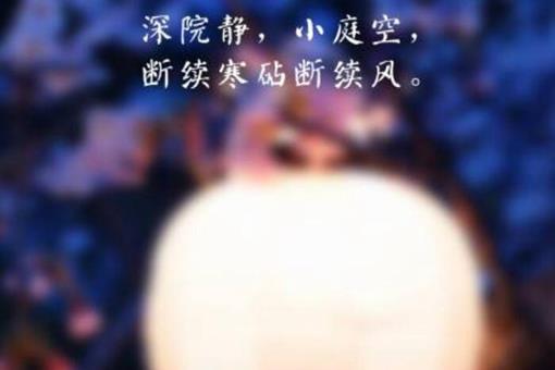 灯火阑珊中的阑珊是什么意思