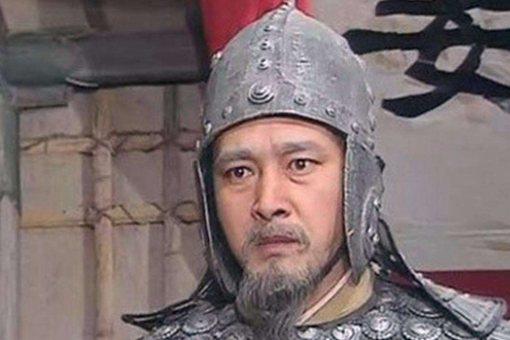 廖化如何评价姜维?老将军一语道破真相