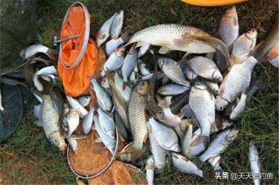 ​路滑钓鱼怎么调漂（钓滑口鱼的如何调漂有什么技巧）