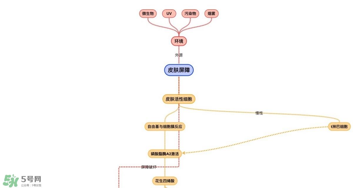 面部皮肤炎症怎么消炎 皮肤炎症管理