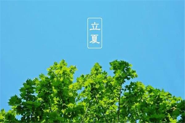 立夏风俗吃什么 立夏怎么吃好