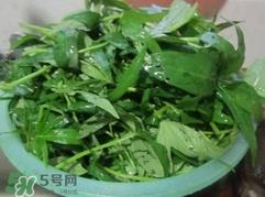 番薯叶怎么种？怎样种番薯叶