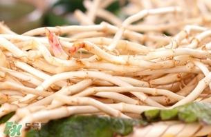 新鲜鱼腥草怎么煮水？鱼腥草怎么煮水喝