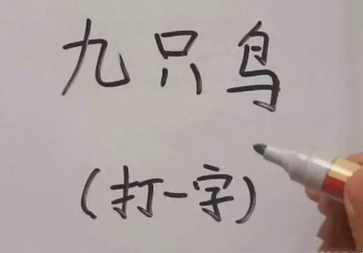 生活九只鸟猜一个字是什么（猜字谜九只鸟是什么字）  1