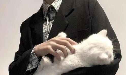 如何养成猫系性格男生