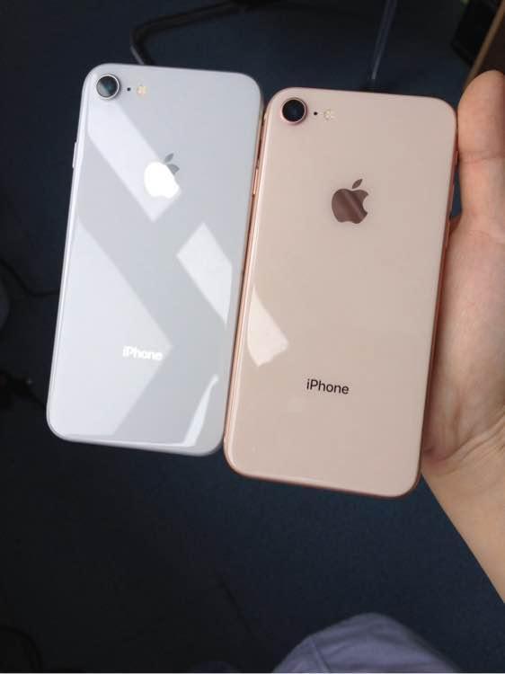 iPhone8Plus玻璃后盖维修费曝光，摔一次一台安卓旗舰没了