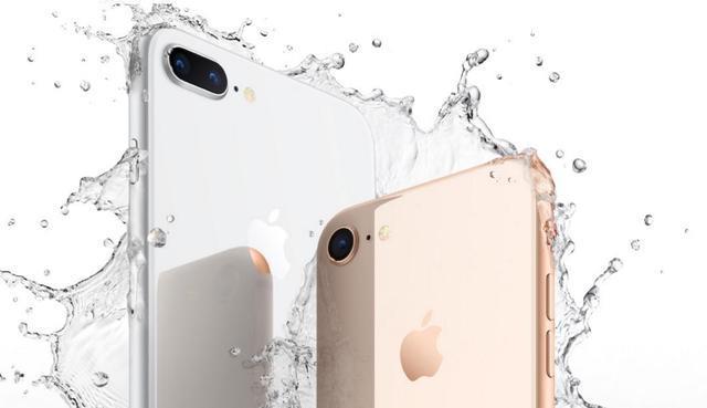 iPhone8Plus玻璃后盖维修费曝光，摔一次一台安卓旗舰没了