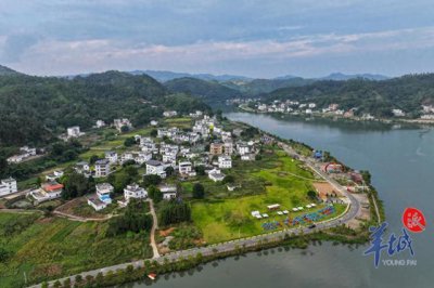 ​“百千万工程”进展成效不断显现，南粤大地奏响县镇村高质量发展协奏曲