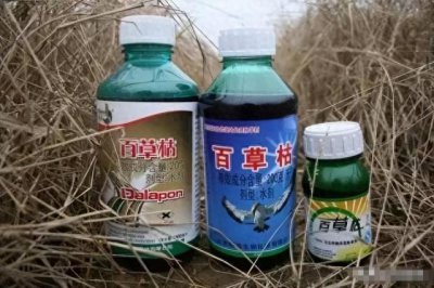 ​“百草枯之父”李德军：百草枯卖了多少年，我就愧疚了多少年！