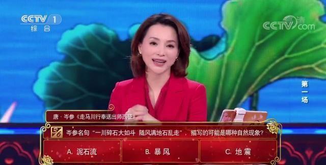 中国诗词大会：专家解读边塞诗“悲壮化奇丽，苦寒作热血”
