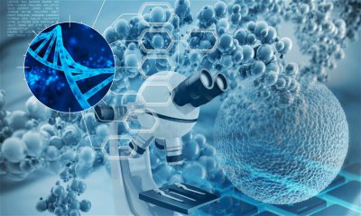 ​本草资本领投，赛桥生物完成近2亿元B轮融资