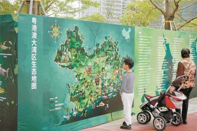 ​描绘粤港澳大湾区生态地图