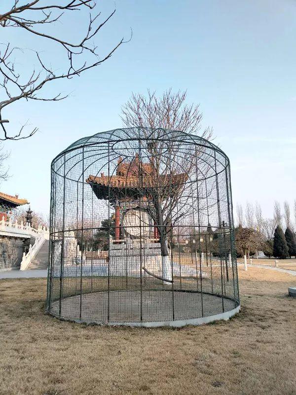 直销巨头出事了！董事长豪华行宫家具值10亿！曾涉千起传销诉讼