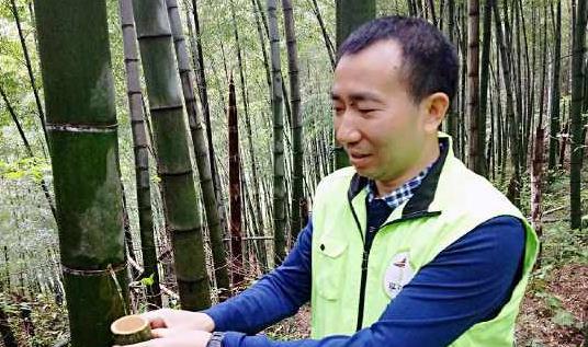 “竹筒酒”是怎么装到竹子里的很多人没搞清楚，难怪买到了假酒