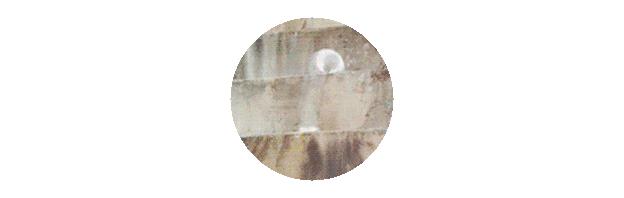 小朋友你们听过金凯瑞吗？那个车里摇头晃脑四兄弟的表情包？