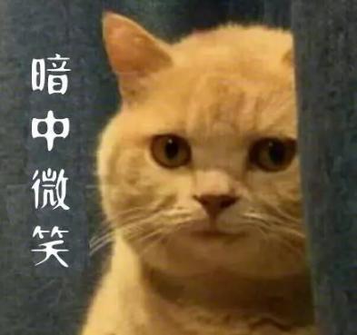 陈翔疑似出轨，刚在《亲爱的客栈》卖完惨就反转啦？
